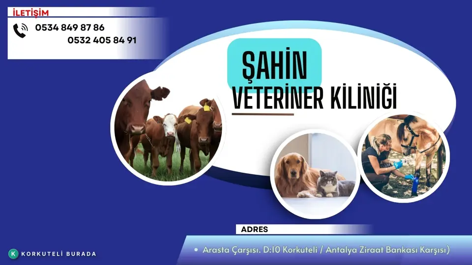 ŞAHİN VETERİNER KLİNİĞİ